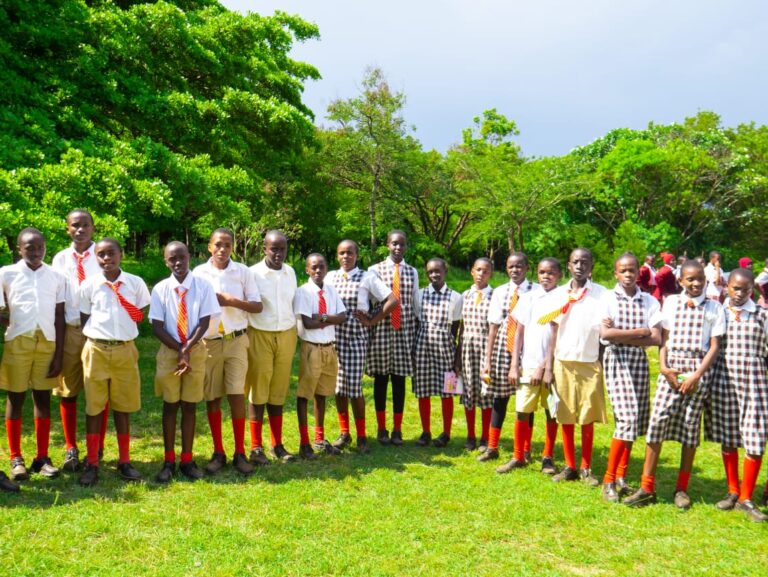 Primary School Learners